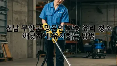 전남 무안군 망운면 고층 유리 청소, 깨끗하게 유지하는 방법