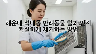 해운대 석대동 반려동물 털과 먼지, 확실하게 제거하는 방법!
