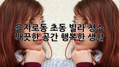 을지로동 초동 빌라 청소: 깨끗한 공간, 행복한 생활