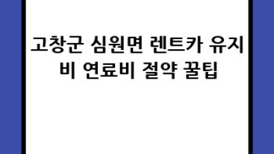 고창군 심원면 렌트카 유지비 완벽 가이드