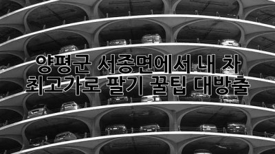🚗 양평군 서종면에서 내 차 최고가로 팔기?! 꿀팁 대방출! 💰